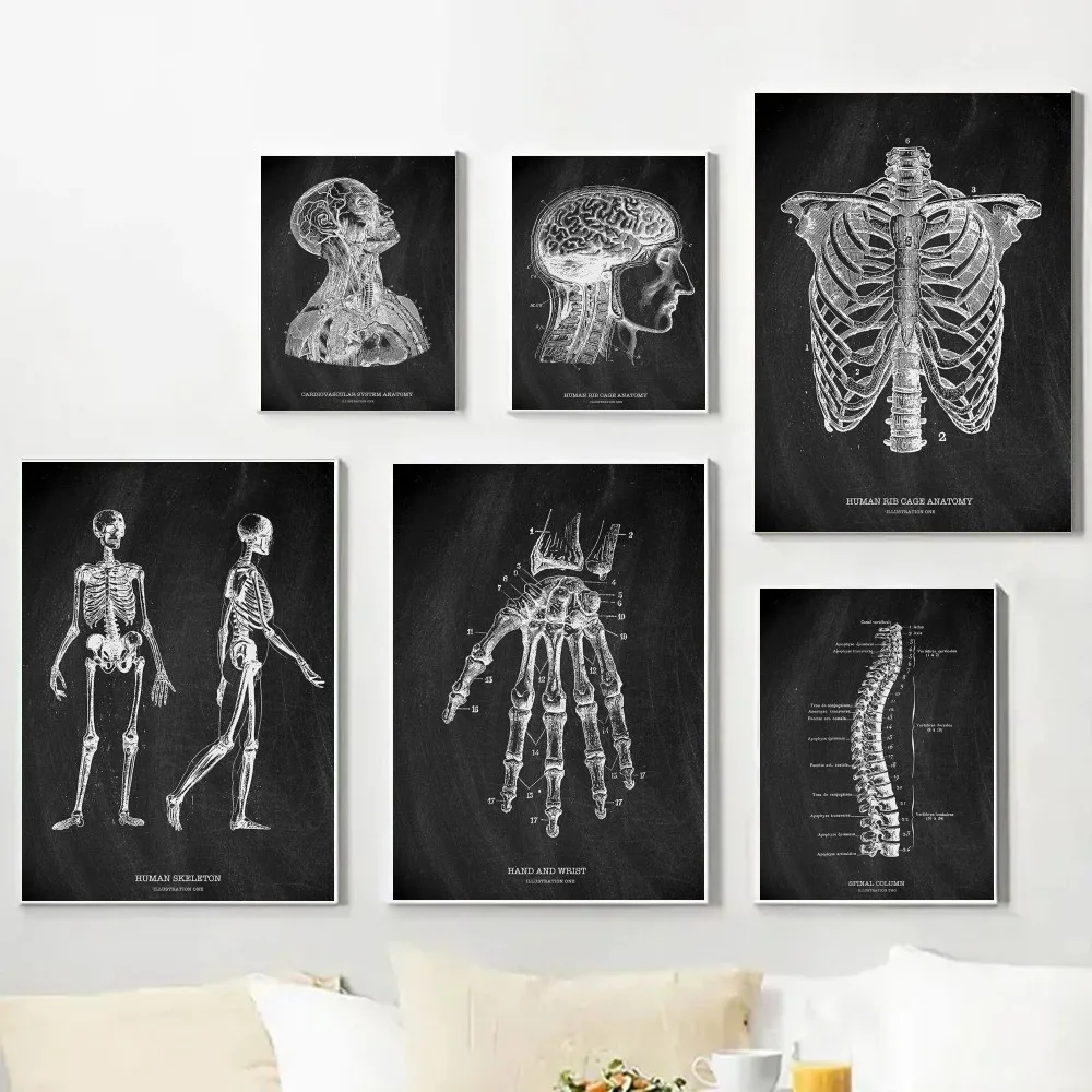 Badminton Poster - Anatomy Skeleton กระดานดําทางการแพทย์โปสเตอร์ภาพวาดผ้าใบ Modern Home ห้องนั่งเล่นห้องนอน