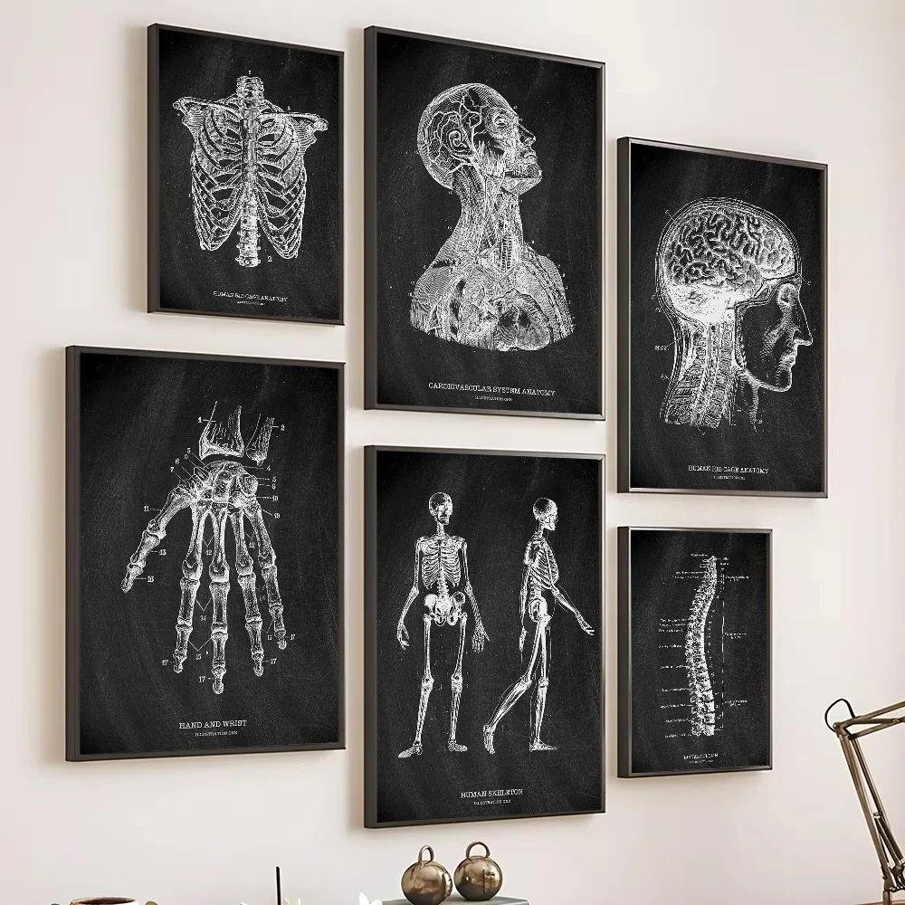 Anatomy Skeleton กระดานดําทางก - Badminton Poster บทวิจารณ์และราคา