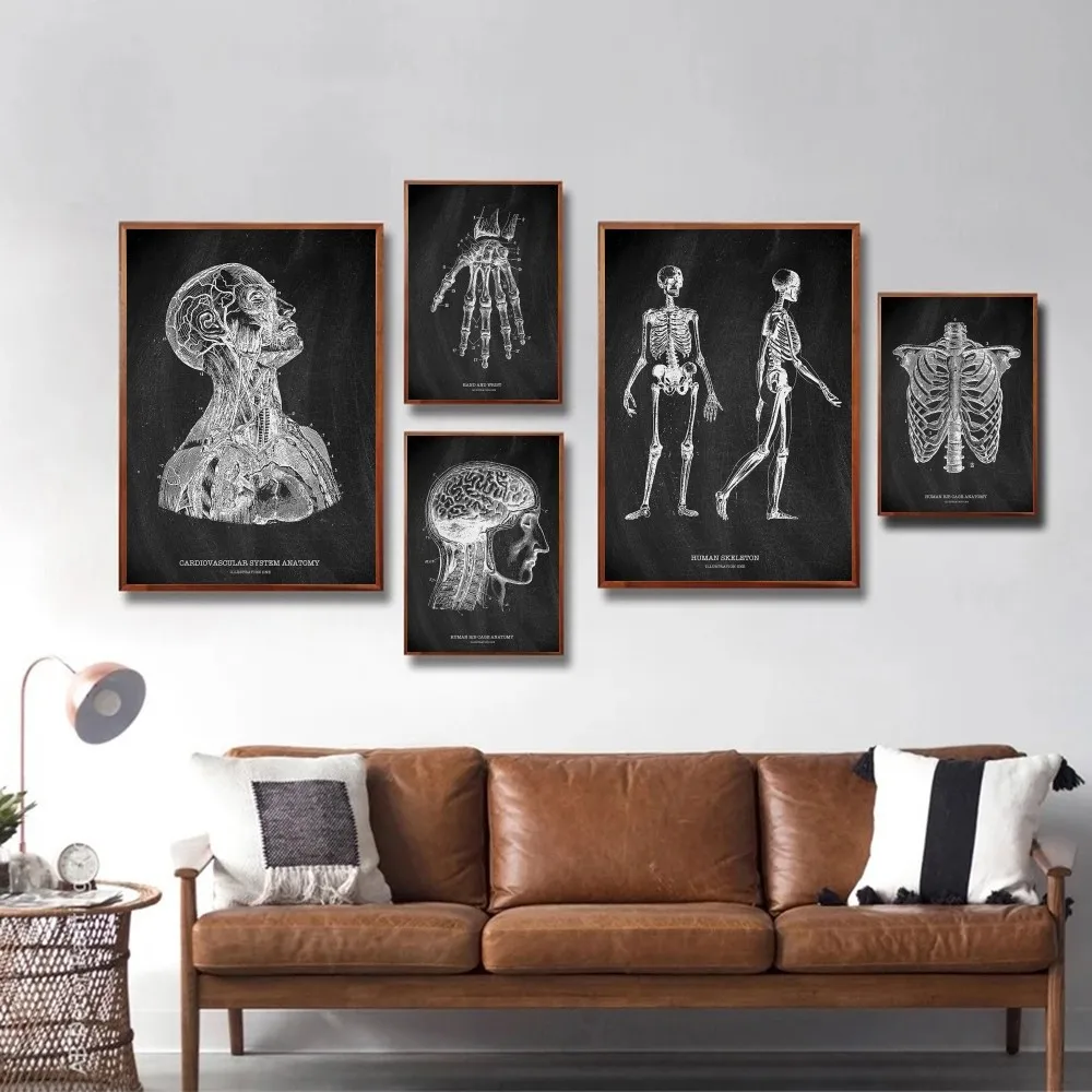 Anatomy Skeleton กระดานดําทางก - Badminton Poster บทวิจารณ์และราคา
