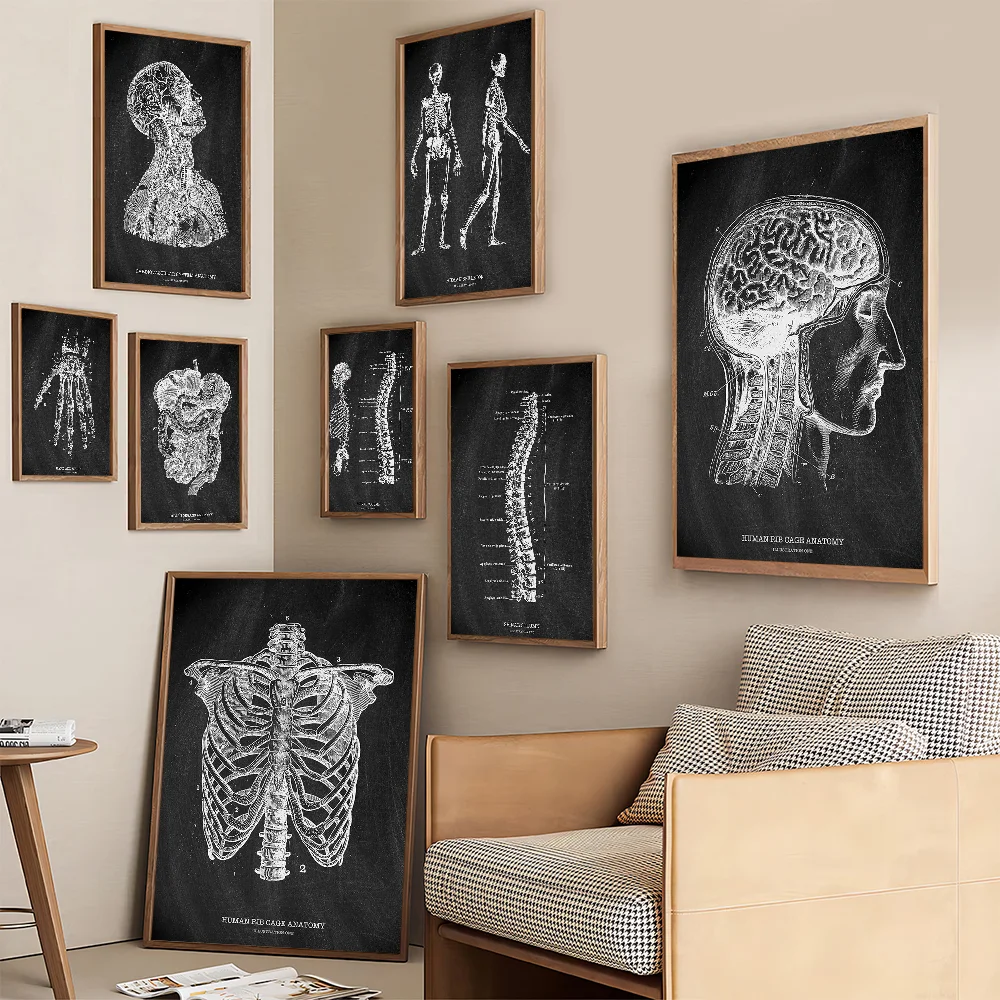 Anatomy Skeleton กระดานดําทางก - Badminton Poster บทวิจารณ์และราคา