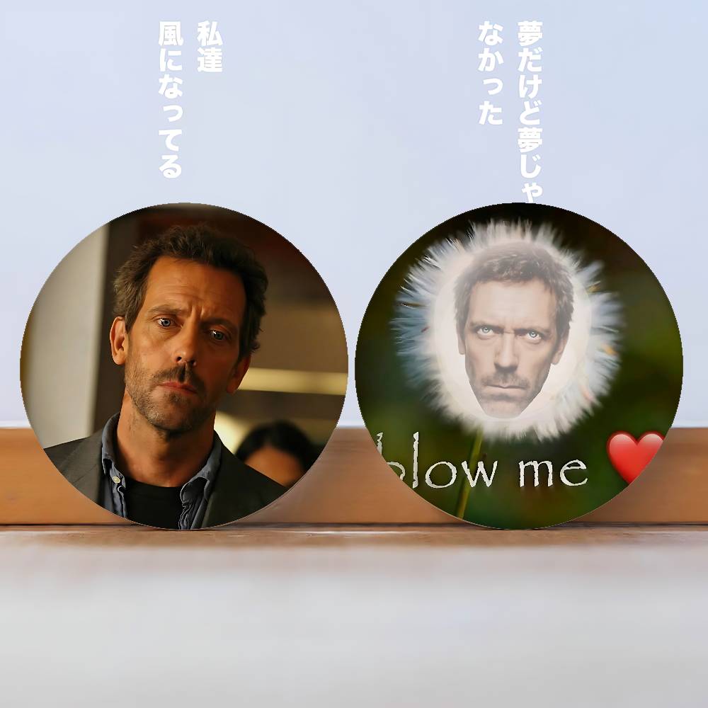 เข็มกลัดลาย H-House MD จากรายก - Badminton Meme บทวิจารณ์และราคา